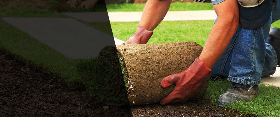 Sumner Landscapers